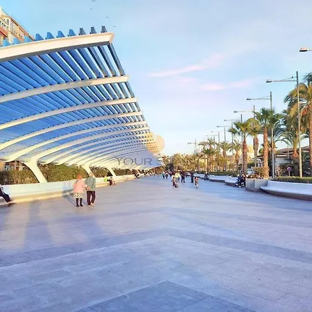 Your Spain R171a Торрев'єха