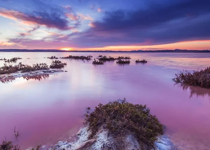 Your Spain R171a 托雷维耶哈