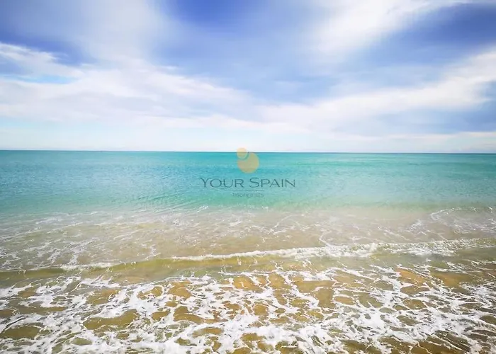 Your Spain R171a 托雷维耶哈